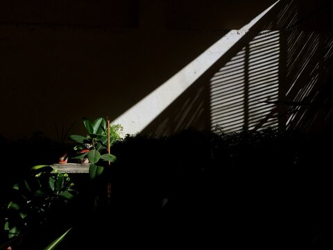 Sunlight Through Blinds