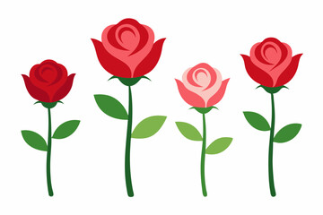 4 Rose Blossom Vector Illustrations on White Background