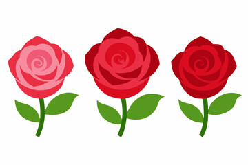 4 Rose Blossom Vector Illustrations on White Background