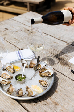 Oyster Harvest in Tomales Bay, California