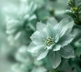 close up flower with green leaves