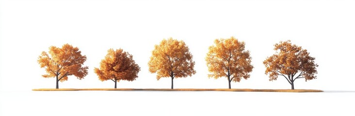 Naklejka premium Sycamore platanus maple trees isolated png on a transparent background in autumn