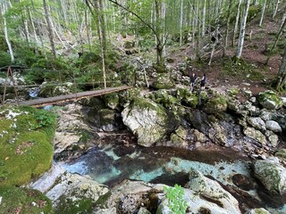 Sunik water grove or waterfalls on the Lepenca stream (Bovec, Slovenia) - Der Sunik-Wasserhain oder Wasserfälle am Bach Lepenca (Slowenien) - Šunikov vodni gaj v Lepeni (Slovenija) © Mario