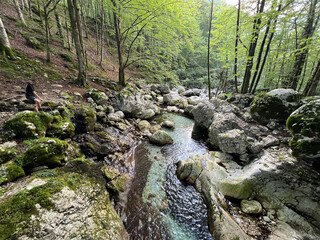Sunik water grove or waterfalls on the Lepenca stream (Bovec, Slovenia) - Der Sunik-Wasserhain oder Wasserfälle am Bach Lepenca (Slowenien) - Šunikov vodni gaj v Lepeni (Slovenija) © Mario
