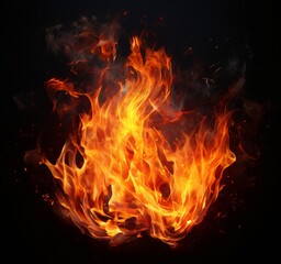 Obraz premium fire on black background