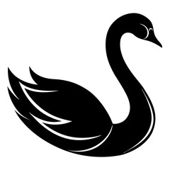 black swan vector