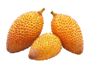 Three vibrant snake fruits isolated on PNG cutout transparent background.