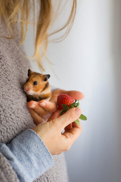 woman and hamster