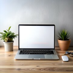Fototapeta premium Clean and minimalist workspace with a laptop. plant. and mouse on a wooden desk.