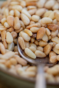 Closeup photo of pine nuts