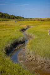 landscape with river