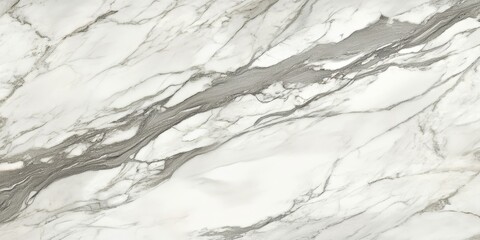 Obraz premium White marble with gray veins.