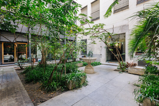 A serene courtyard features lush, green plants and trees