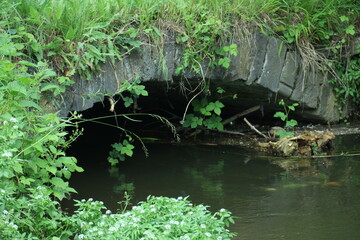 pipe on the surface of the water 