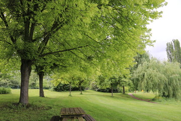 bench in the park