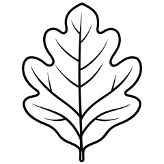 Minimalist Vector of a Large Oak Leaf with Veins