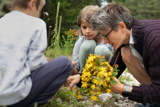 Family Picking Herbs in the Forest