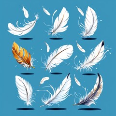 A collection of elegant feathers in various styles and colors, perfect for creative designs and artistic projects.