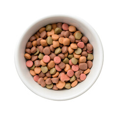 Bowl of Dry Pet Food with Nutritional Variety
