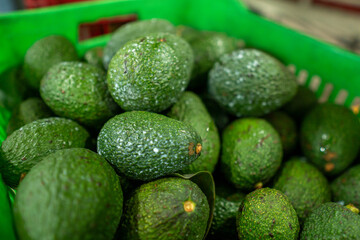 Avocados in a box inside the packaging facility
