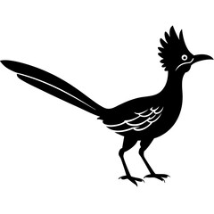 Roadrunner Silhouette Vector Design