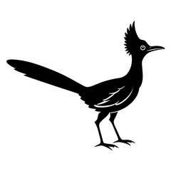 Roadrunner Silhouette Vector Design