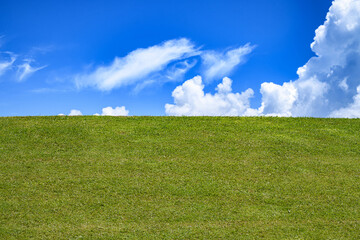Grassy meadow, field, lawn, grassland. Green meadow background. Landscape background. Green grass...