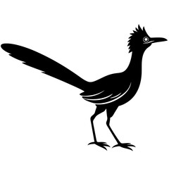 Roadrunner Silhouette Vector Design