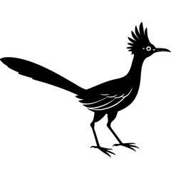 Roadrunner Silhouette Vector Design