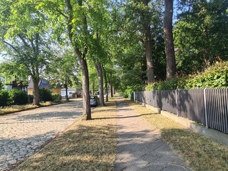 Bürgersteig, eine Strasse und Bäume in Eichwalde, Brandenburg