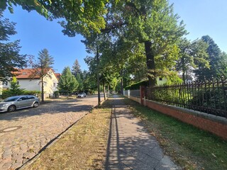 Bürgersteig und Strasse mit Bäumen in Eichwalde, Brandenburg