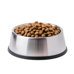 Bowl of Dry Pet Food with Nutritional Variety