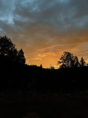 Sunset over the Forest