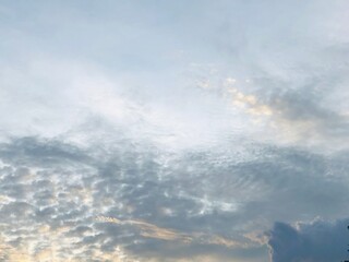 sky and clouds,silhouette of a person,Upsidedown hillforest view reveals a sunlit sky behind tree crowns. Radiant sun casts warm glow through foliage,bright blue sky behind lush green leaves.Wonderful