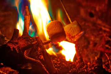 Roasting marshmallows in a colorful campfire