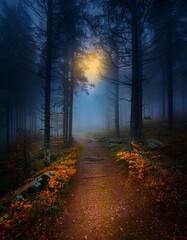 Naklejka premium Sendero rústico en medio de un bosque profundo tenebre de otoño