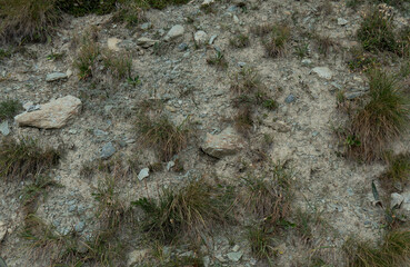 Rocky Terrain with Sparse Vegetation
