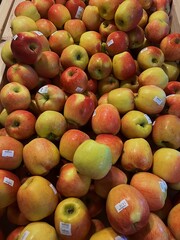 Vibrant farmers market display featuring a variety of fresh, colorful produce. Stalls brim with seasonal fruits, vegetables, and artisanal goods, highlighting farm-to-table freshness.