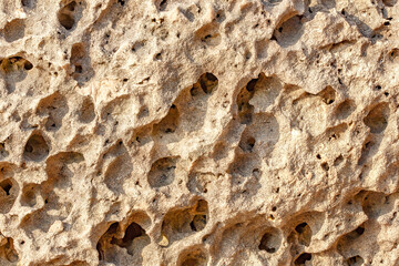 porous texture of beach stone close-up, background