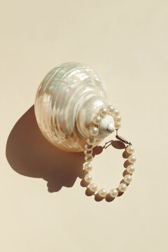Pearl bracelet and seashell