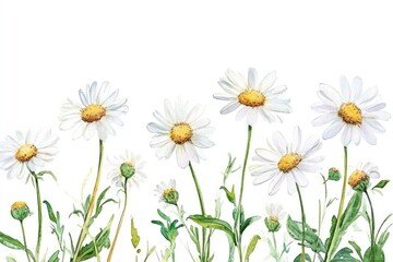 Fototapeta premium A vibrant arrangement of daisies displays delicate petals and soft greenery, capturing the essence of nature in a bright, artistic representation