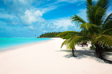 Fototapeta premium A deserted sandy beach on the Indian Ocean. Sunny day on the coast of the Maldives island