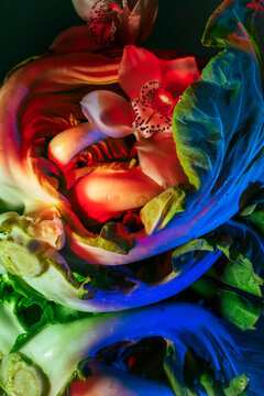 Abstract flower composition with colored light