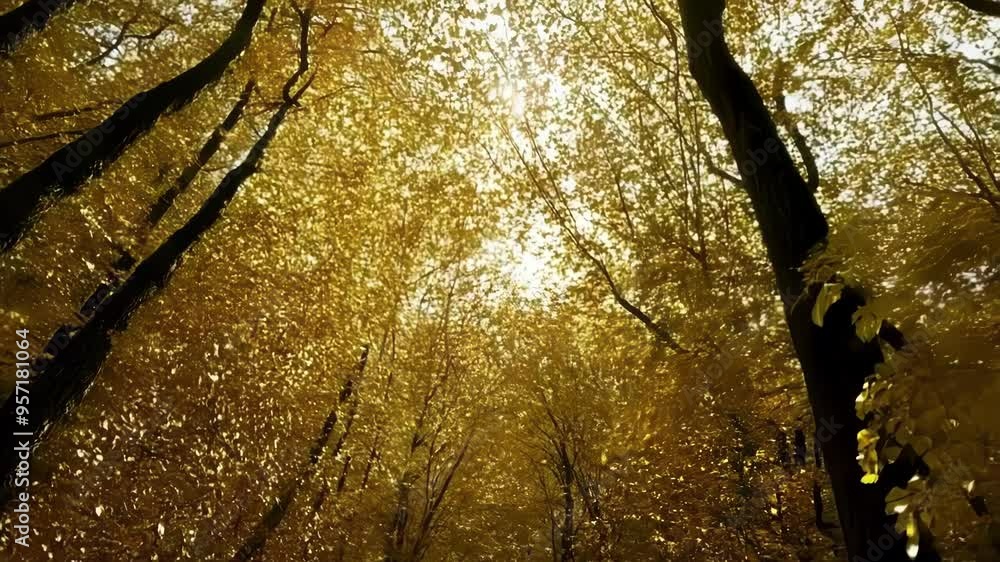 Aufkleber the autumn forest glows with sunlight filtering through golden trees, creating a magical and peacefu