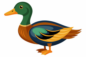 Beautiful pet bird duck side view vector art illustration