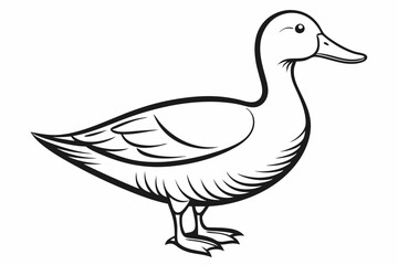 A Beautiful pet bird duck side view line art vector art illustration