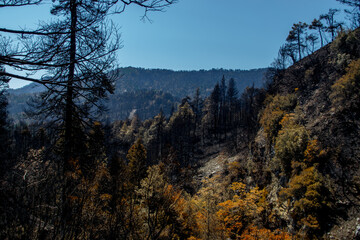 autumn in the mountains