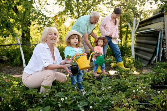 family is planting beeds