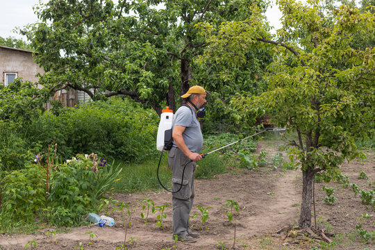 a man processes a young tree