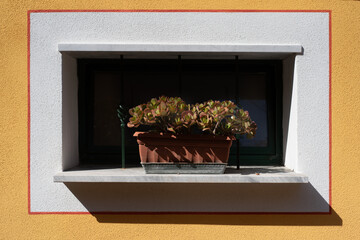 Rectangular wall window decor with plant